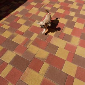 Abeton Borostyán Kombi térkő őszilomb referencia fotó